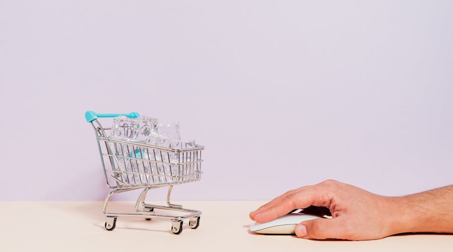 Online kupovina — webshop za male poduzetnike